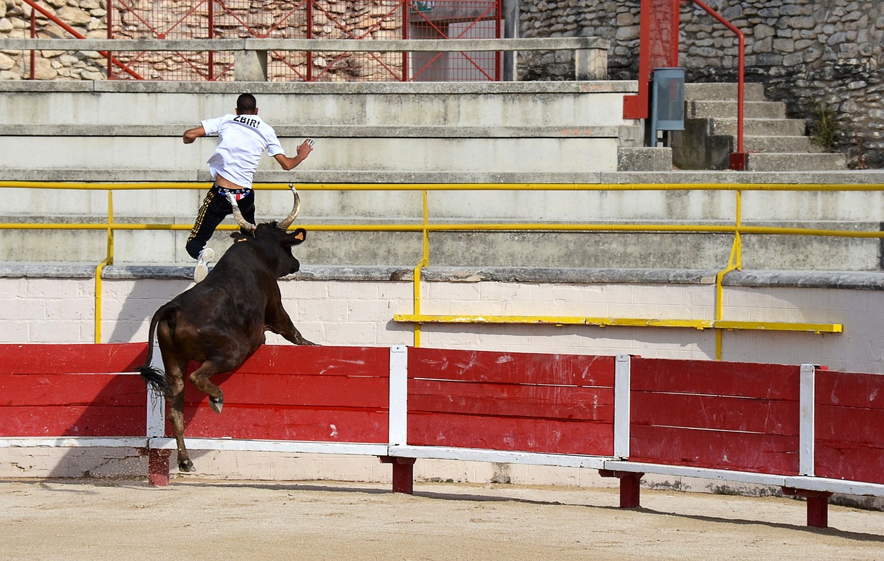 運動員的格