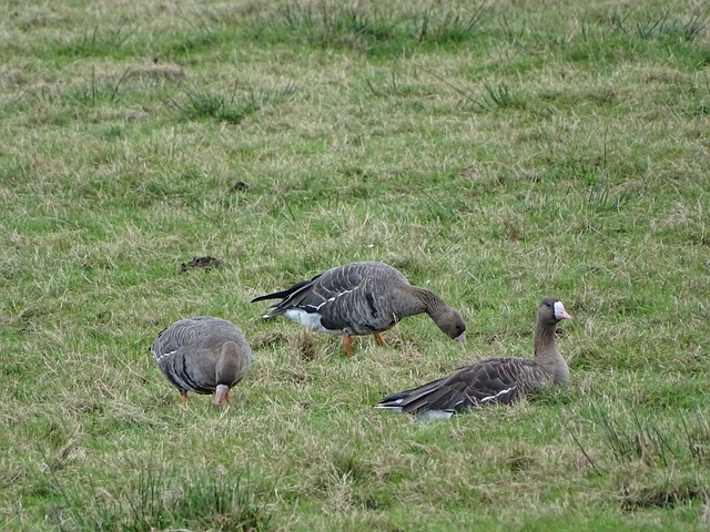 的穩定實力 的穩定實力
