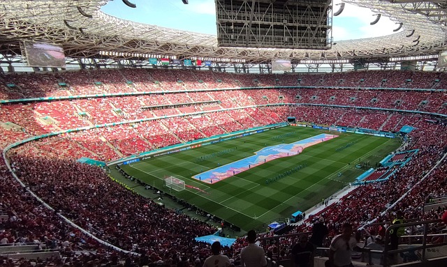 更是彰显了 更是彰显了