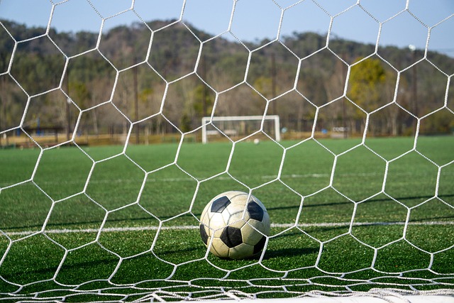 迎接国际挑 迎接国际挑